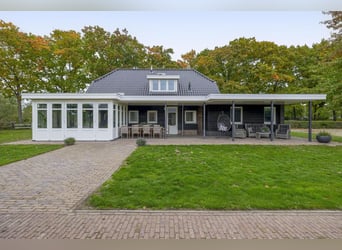 A beautiful location for horse happiness!