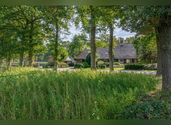 Amazing location for horselovers