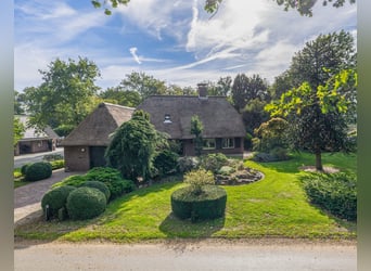 Amazing location for horselovers