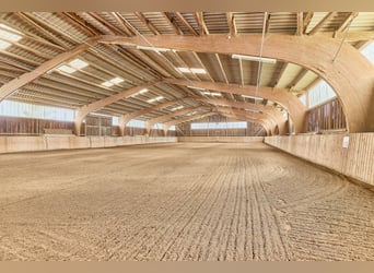 Attraktive Reitanlage in Heidelberg – großzügiges Anwesen mit Reithalle und zwei Wohnhäusern im Grün
