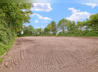 Attraktive Reitanlage in Heidelberg – großzügiges Anwesen mit Reithalle und zwei Wohnhäusern im Grün