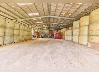 Attraktive Reitanlage in Heidelberg – großzügiges Anwesen mit Reithalle und zwei Wohnhäusern im Grün