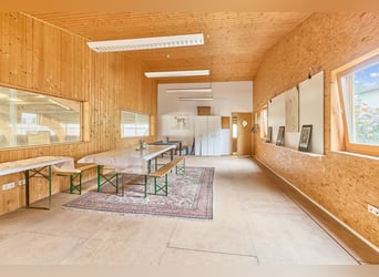 Attraktive Reitanlage in Heidelberg – großzügiges Anwesen mit Reithalle und zwei Wohnhäusern im Grün