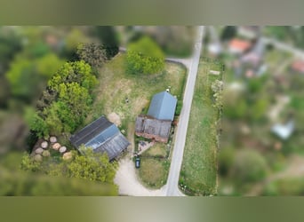 Attraktiver Resthof mit großer Scheune, Stallgebäude und Wiese im schönen Wendland