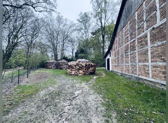 Attraktiver Resthof mit großer Scheune, Stallgebäude und Wiese im schönen Wendland