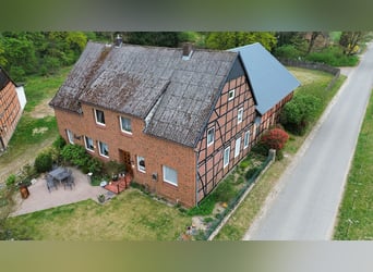 Attraktiver Resthof mit großer Scheune, Stallgebäude und Wiese im schönen Wendland