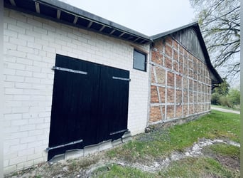 Attraktiver Resthof mit großer Scheune, Stallgebäude und Wiese im schönen Wendland