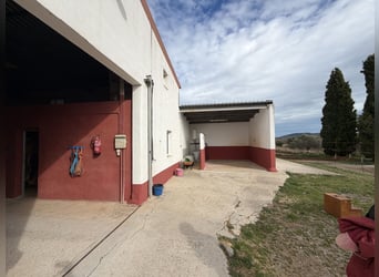 Centrum Jeździeckie w Castellón Norte