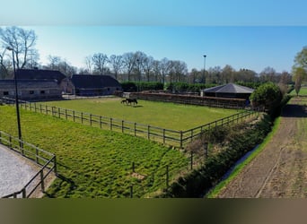Charming Equestrian Property with Excellent Facilities in a Unique Setting
