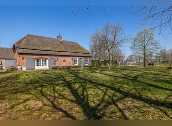 Charming Equestrian Property with Excellent Facilities in a Unique Setting