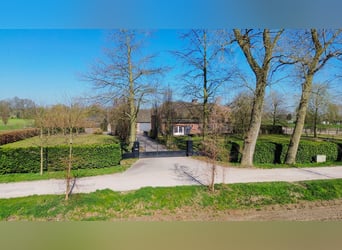 Charming Equestrian Property with Excellent Facilities in a Unique Setting