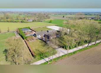 Charming Equestrian Property with Excellent Facilities in a Unique Setting