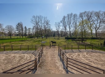 Charming Equestrian Property with Excellent Facilities in a Unique Setting
