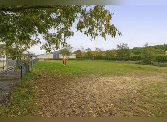 COMPACT EQUESTRIAN COMPLEX