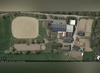 Duża stadnina w okolicach Kilonu, położona w doskonałej lokalizacji, z wieloma apartamentami i różno