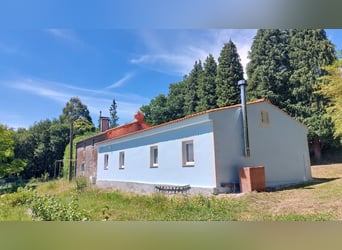 Działka z domem i prywatną stajnią jeździecką