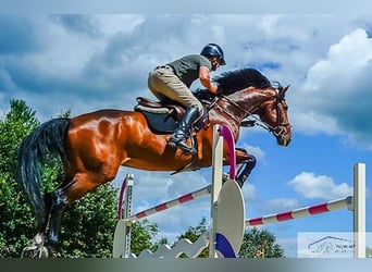 Eine luxuriöse Reitanlage für das Topsegment nähe München Deutschland