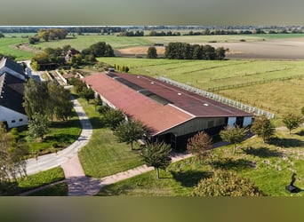 Einmalige Reitanlage bei Potsdam mit 16 Hektar arrondiertem Land