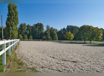 Einmalige Reitanlage bei Potsdam mit 16 Hektar arrondiertem Land