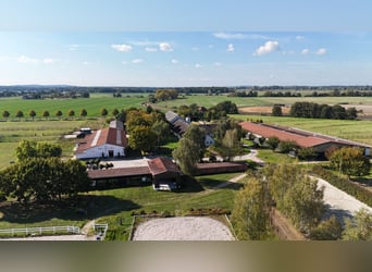 Einmalige Reitanlage bei Potsdam mit 16 Hektar arrondiertem Land