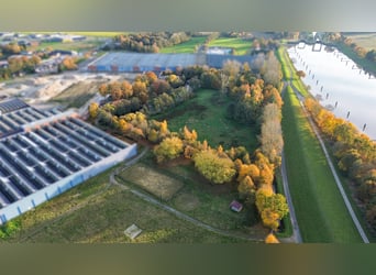 Ekskluzywna posiadłość z willą, ośrodkiem jeździeckim i kompleksem hal na prywatnym jeziorze na sprz