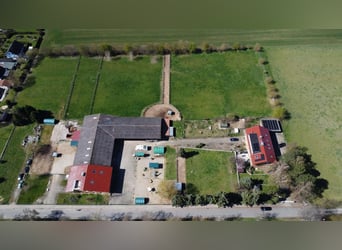 Ekskluzywna stadnina z ośrodkiem jeździeckim i domem wielorodzinnym – połączenie zysków i wysokiej j