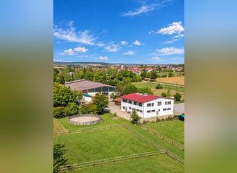 Ekskluzywny ośrodek jeździecki z kliniką i rehabilitacją koni w pobliżu Stuttgartu
