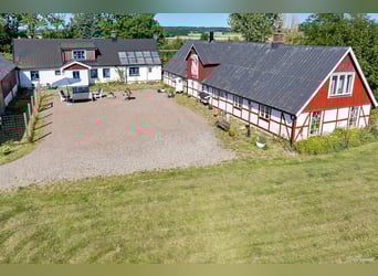 Equestrian Property with Endless Possibilities!