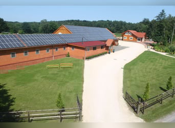 Exklusiver Pferdehof - TOP Ausstattung inkl. Photovoltaikanlage (bisher REHA Zentrum) Niedersachsen
