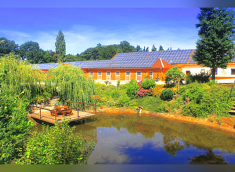 Exklusiver Pferdehof - TOP Ausstattung inkl. Photovoltaikanlage (bisher REHA Zentrum) Niedersachsen