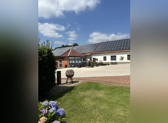 Exklusiver Pferdehof - TOP Ausstattung inkl. Photovoltaikanlage (bisher REHA Zentrum) Niedersachsen