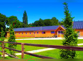 Exklusiver Pferdehof - TOP Ausstattung inkl. Photovoltaikanlage (bisher REHA Zentrum) Niedersachsen