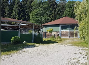 Exklusives Anwesen in Alleinlage mit Pferdehaltung