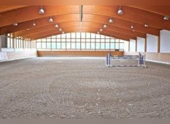Exklusives Anwesen, Reitanlage mit kleiner Pension im Lahn-Dill-Kreis