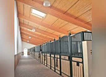 Exklusives Anwesen, Reitanlage mit kleiner Pension im Lahn-Dill-Kreis