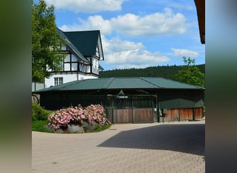 Exklusives Anwesen, Reitanlage mit kleiner Pension im Lahn-Dill-Kreis