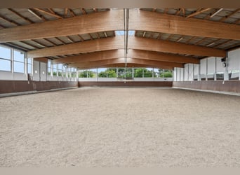 Exklusives Reitsportanwesen mit luxuriösem Fachwerk-Herrenhaus