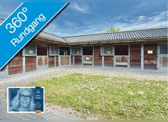 FREI // Reitanlage der kurzen Weg // Kiel, Ostsee // Halle, Führanlage // schnell erreichbar!