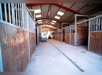 Gospodarstwo jeździeckie pod samymi drzwiami Mâcon