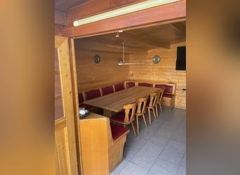 Gospodarstwo jeździeckie z dużym domem mieszkalnym i potencjałem rozwoju