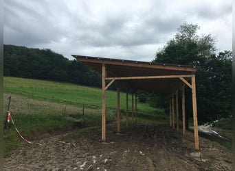 Gospodarstwo konne z około 18 ha własnej ziemi, rozbudowaną stajnią jeździecką oraz kilkoma jednostk