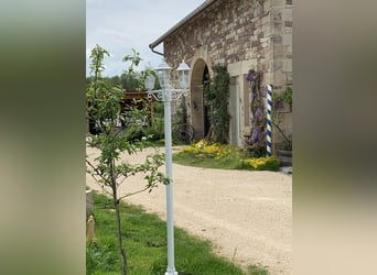 Historischer paradiesischer Pferdehof 40 Min. von der Schweiz 