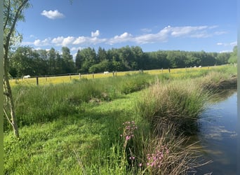 Historischer paradiesischer Pferdehof 40 Min. von der Schweiz 