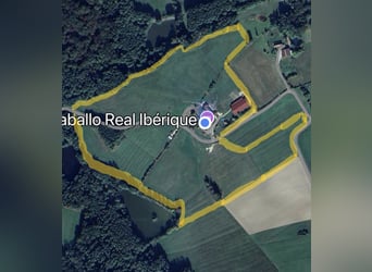 Historischer paradiesischer Pferdehof 40 Min. von der Schweiz 