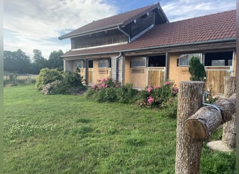 Historischer paradiesischer Pferdehof 40 Min. von der Schweiz 