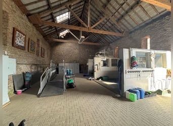 Historischer Vierkanthof mit Reitanlage