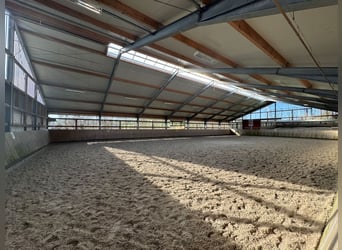 Historischer Vierkanthof mit Reitanlage