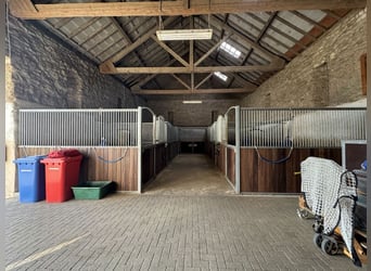 Historischer Vierkanthof mit Reitanlage