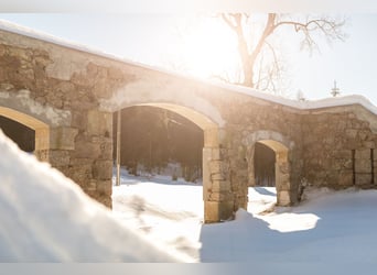 Historisches Villenanwesen im Erzgebirge – Absolute Alleinlage in traumhafter Natur!