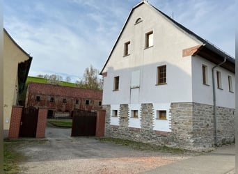 Historyczny dwór z unikalnym potencjałem rozwoju – stadnina, ośrodek wypoczynkowy i więcej.